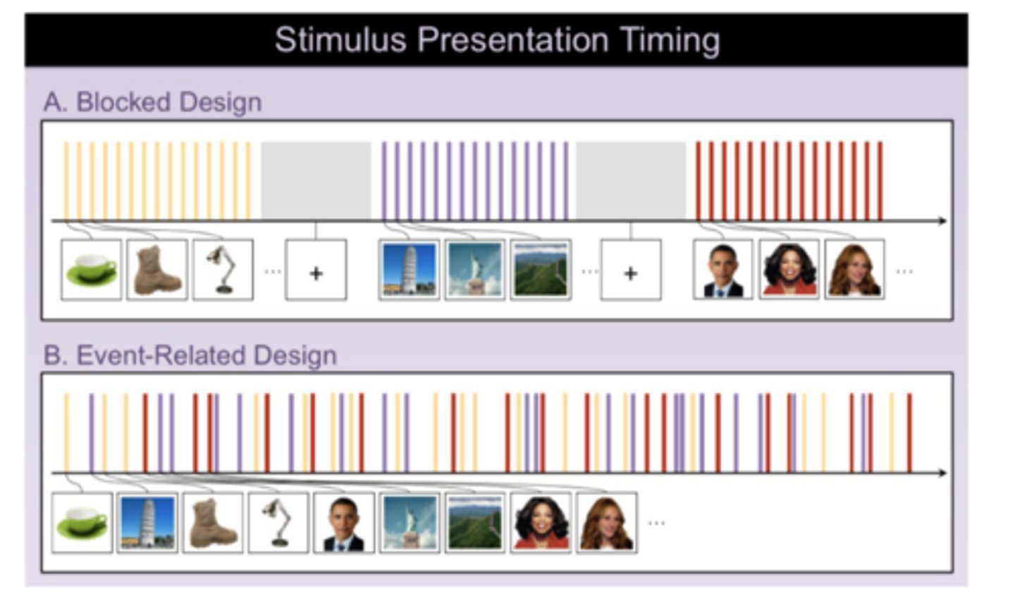 <p>stimuli from two or more conditions are presented randomly or interleaved</p>