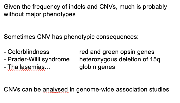 <p><em>Although given the frequency of indels and CNVs→ much probably without major phenotypes there are</em><strong><em> still</em></strong><em>&nbsp;some CNVs which have phenotypic consequences</em></p><ol><li><p>Thalassemias→ unequal crossovers in globin genes)</p></li><li><p>Colourblindness→ unequal crossovers in red and green opsin genes</p><ul><li><p>themselves originated only recetly as a duplication in primates</p></li></ul></li><li><p>Prader-Willi syndrome→ duplication of chromosome 15 that cause intellectual disability</p></li></ol><p><em>The more carefully we look for structural variants, the more we have found</em></p><p></p>