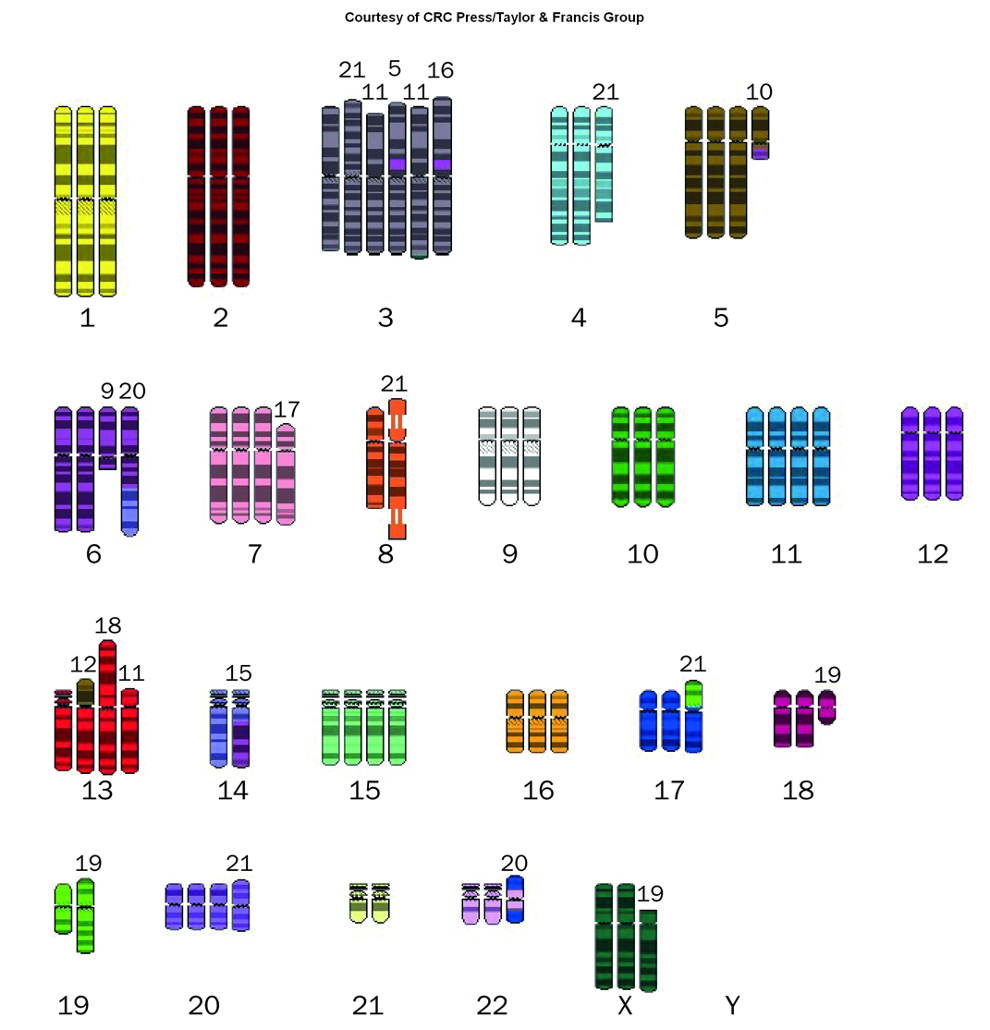 <p>A hallmark of cancer characterized by a high frequency of mutations within the genome, often resulting from defects in DNA repair mechanisms. </p>