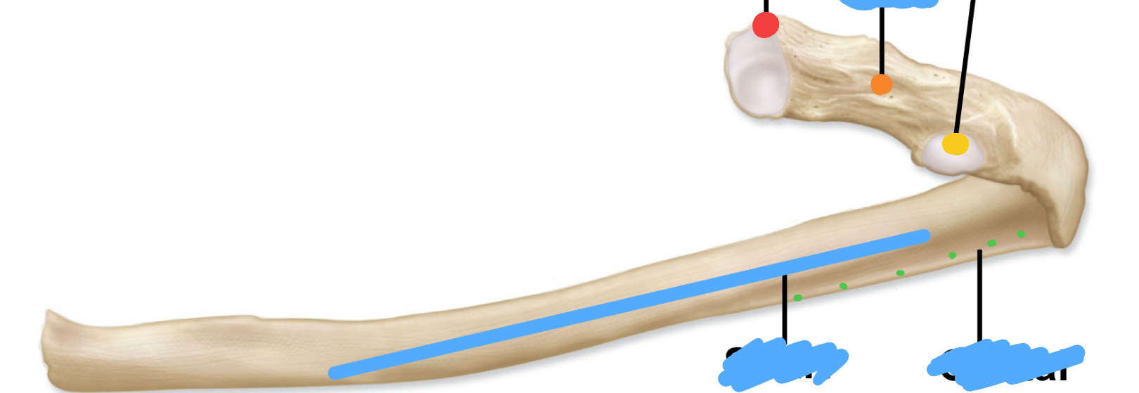 <p>What is the blue line?</p>