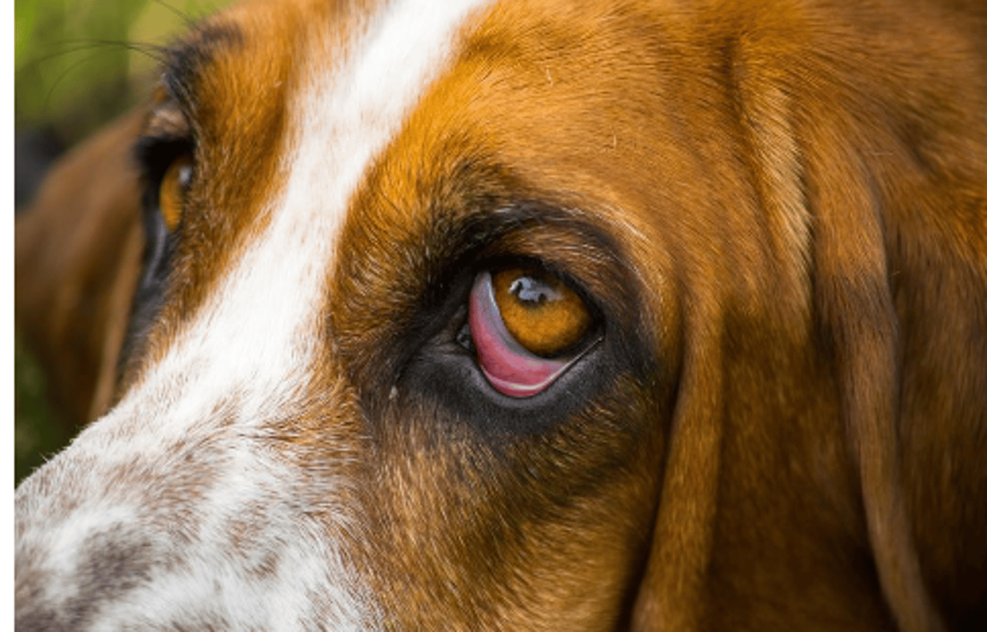 <p>what is this called?</p>