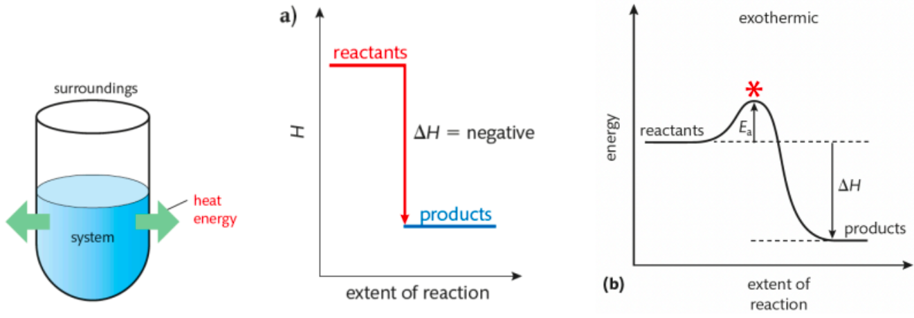 <ul><li><p>net release of energy <span style="color: yellow"><strong>to surroundings</strong></span></p></li><li><p>(energy absorbed to break bonds is LESS than energy released when products form)</p></li><li><p>△H is <span style="color: blue"><strong>negative</strong></span></p></li><li><p>temperature of surroundings <span style="color: red"><strong>increases</strong></span></p></li></ul><p></p>