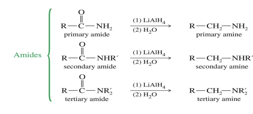 <p>Starting: </p><ul><li><p>Amide ( R - C ( = O ) - NH<sub>2</sub></p></li></ul><p>Reagent: </p><ul><li><p>LiALH<sub>4</sub></p></li><li><p>H<sub>2</sub>O</p></li></ul><p>End product </p><ul><li><p>amine </p></li></ul><p>R - CH<sub>2</sub> - NH<sub>2</sub></p><p>R - CH<sub>2</sub> - NH - R</p><img src="https://knowt-user-attachments.s3.amazonaws.com/81fed3f1-62a5-4196-aa44-9c09d26e58cd.png" data-width="100%" data-align="center"><p></p>