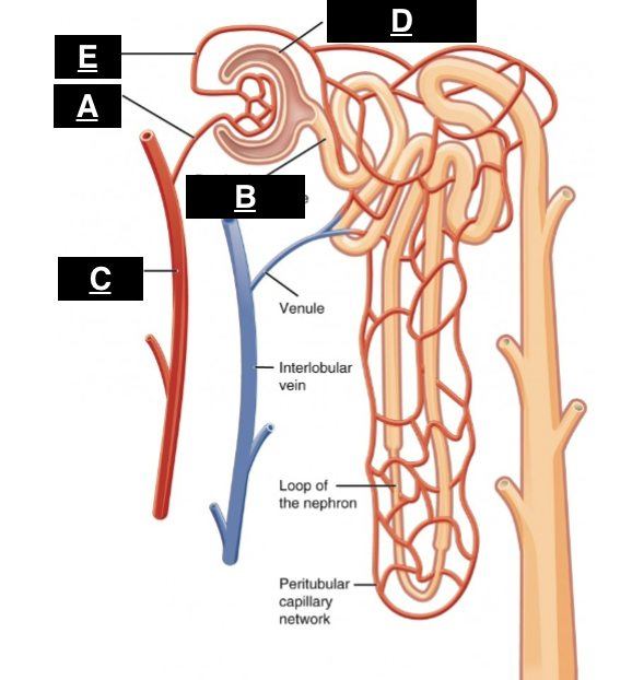 <p>what is A</p>