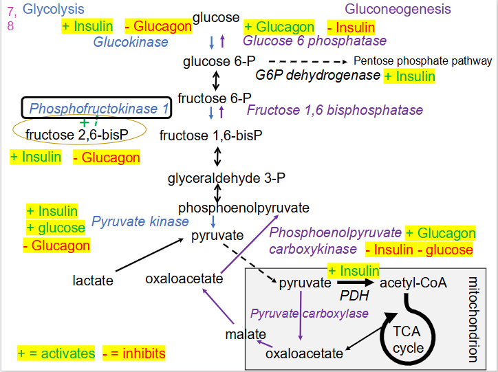 <p>DIAGRAM ON SLIDE 19</p>