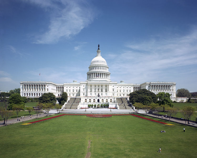 <p>us capitol </p>