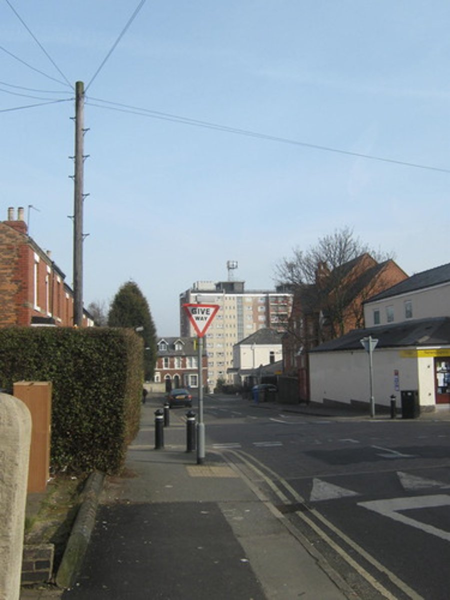 <p>The street</p>