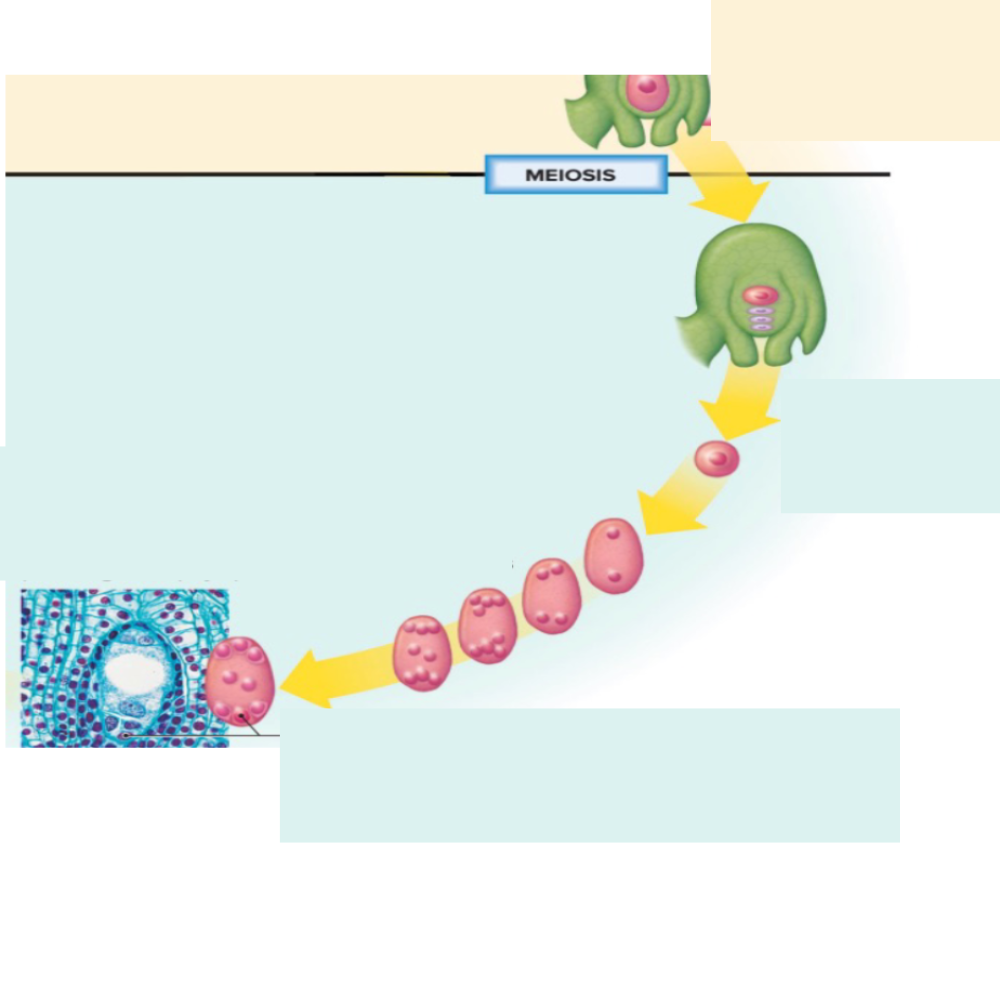 <p>What is being produced in this diagram?</p>