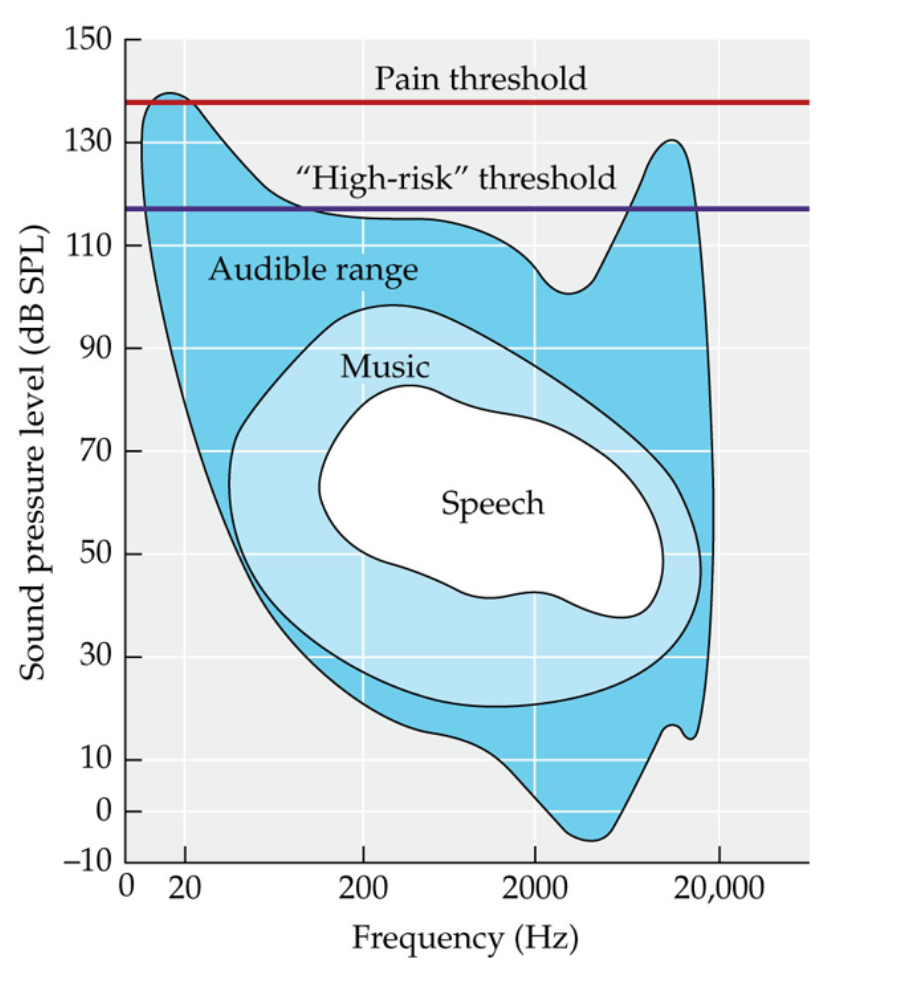 <p><span>Humans can hear frequencies that range from about 20 to 20,000 Hz across a very wide range of intensities, or sound pressure levels (dB SPL, where dB = decibels)</span></p>