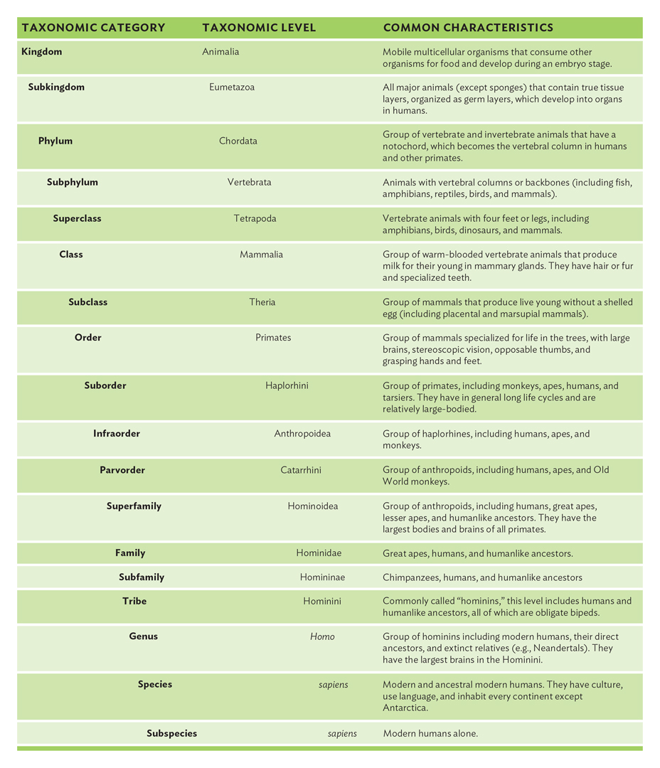<p><span style="font-family: Lato Extended, Lato, Helvetica Neue, Helvetica, Arial, sans-serif; color: rgb(45, 59, 69)">According to Linnaean taxonomy, what is the MOST specific category and level shared by humans, gorillas, and howler monkeys?</span></p>