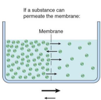 <ul><li><p>uniform spreading out of molecules due to their random intermingling</p></li><li><p>molecules move from area of high concentration to area of low transport </p></li><li><p>process is crucial to survival of every cell</p></li><li><p>simple passive diffusion → no energy required</p></li><li><p>doesn’t require membrane</p></li></ul>
