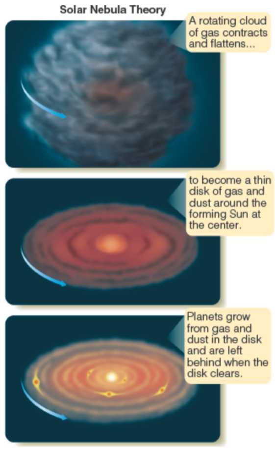 <p><span><span>the proposal that the planets formed from the same cloud of gas &amp; dust that formed the Sun</span></span></p><ol><li><p><span><span>The chemical composition of the solar nebula should originally have been roughly the same throughout the disk when it was hot enough to be entirely gas</span></span></p></li><li><p><span><span>As the disk cooled down, the inner parts close to the Sun would have had higher temperatures so that only metals and rock could condense there, whereas lots of ices along with metals and rock could condense in the cooler outer parts of the disk, far from the Sun</span></span></p></li></ol><ul><li><p><span><span>condensation: the growth of a particle by addition of a material from surrounding gas, one atom or molecule at a time (where the observed pattern of planet densities originated)</span></span></p><ul><li><p><span><span>condensation sequence: the sequence in which different materials condense from the solar nebula at increasing distances from the Sun</span></span></p></li></ul></li></ul><ul><li><p><span><span>frost line: in the solar nebula, the boundary beyond which water Vapor &amp; other compounds could form ice particles (now separates the region for formation of the Terrestrial planets from that of the Jovian planets)</span></span></p></li></ul><p></p>