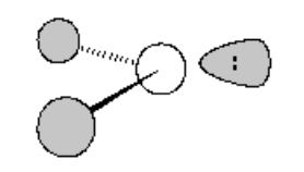 <p>list name, number of atoms bonded to central atom, lone pairs of e<sup>-</sup> on the central atom, bond angle, hybrid orbitals</p>