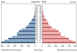 <p>Population pyramid when the population is consistently expanding</p>