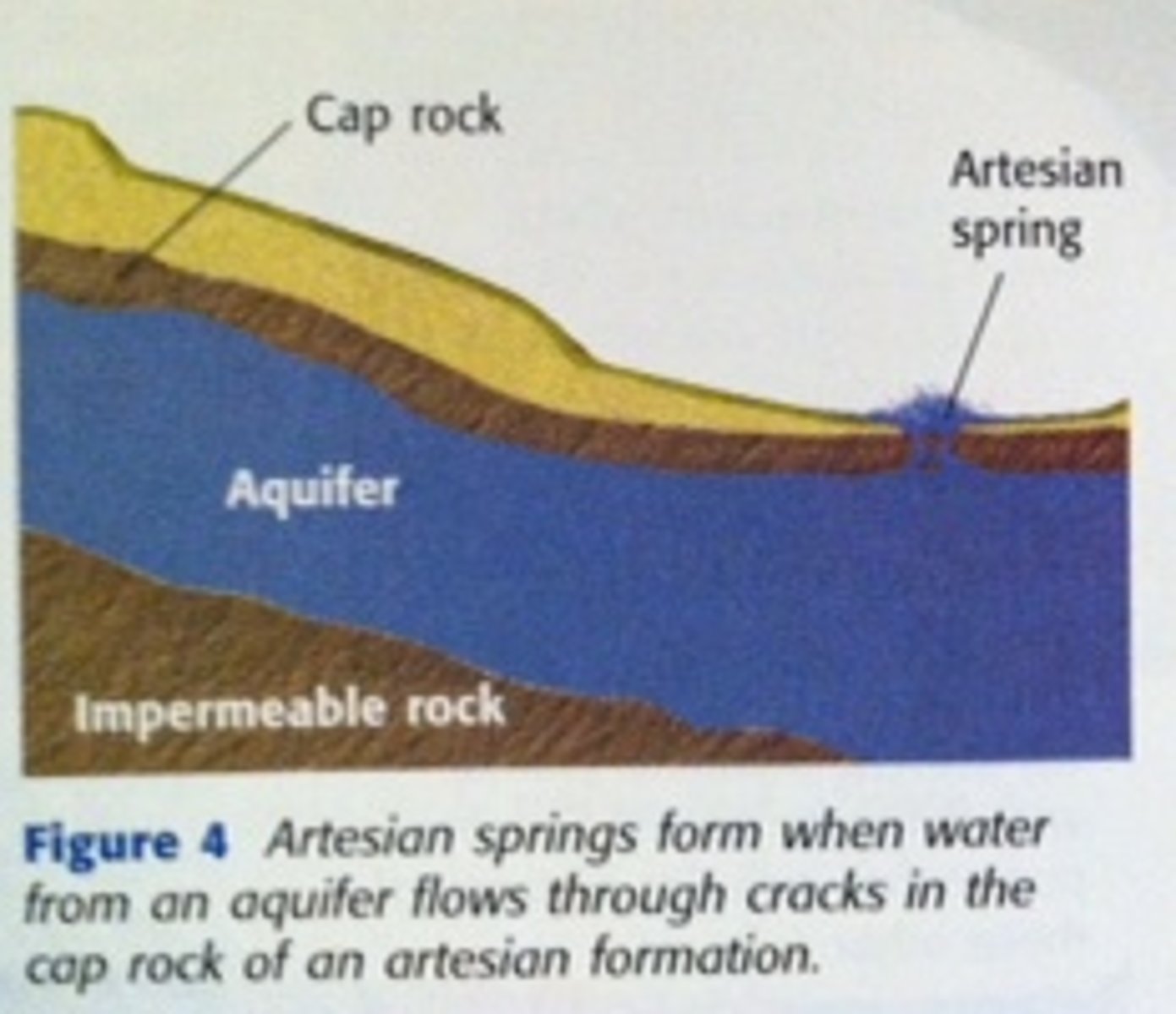 <p>groundwater may reach the surface by rising along a natural fracture such as a fault rather than through an artificially produced hole.</p><p>In deserts, artesian springs are sometimes responsible for creating oases</p><p>Act as conduits, often transmitting water great distances from remote areas of recharge to points of discharge.</p><p>ex: Artesian system in SouthDakota</p><p>In the western part of the state, the edges of a series of sedimentary layers have been bent up to the surface along the flanks of the Black Hills.</p>