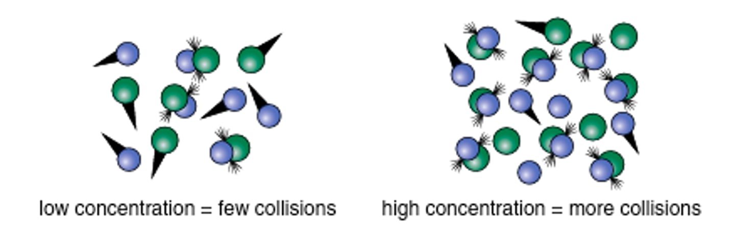 <p>The higher the concentration (amount) of reactants the more likely it is that there will be a collision</p>