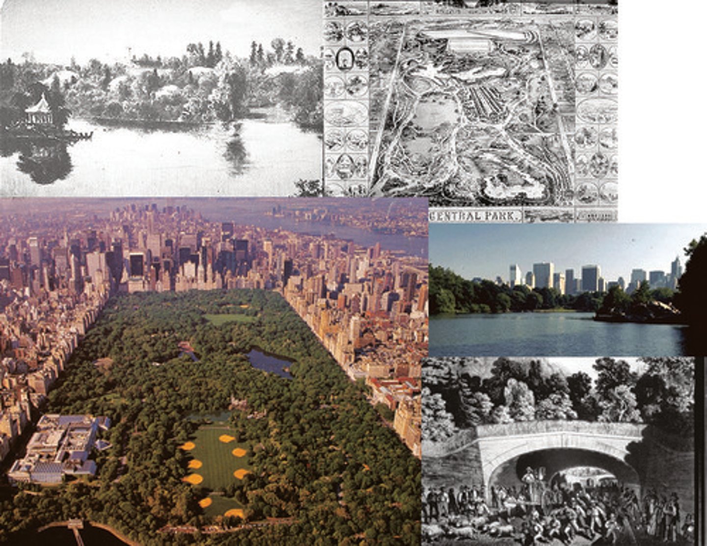 <p>1. He is an American landscape architect. He is considered to be the father of landscape architecture. Along with his partner Calvert Vaux, they designed New York City's Central Park</p><p>2. 1850s, when Central Park was designed and created</p><p>3. Urban parks were one of the most important innovations in the 19th century, which reflected a growing dispute of urban leaders to have a place away from the city landscape. It provided a place to relax away from the city's busy life. Originally created for the enjoyment of the wealthy class, but soon became a public space for all, however there were still distinctions between them, like the rich were often quiet while lower classes were often running around. Central Park became the most admired public space in the world, resulting in Olmsted and Vaux being recruited to design public spaces in other cities.</p>