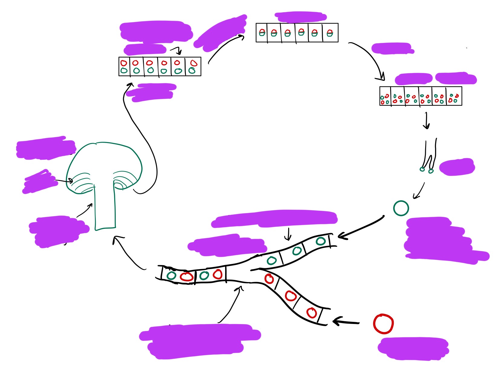 <p>Label lifecycle</p>
