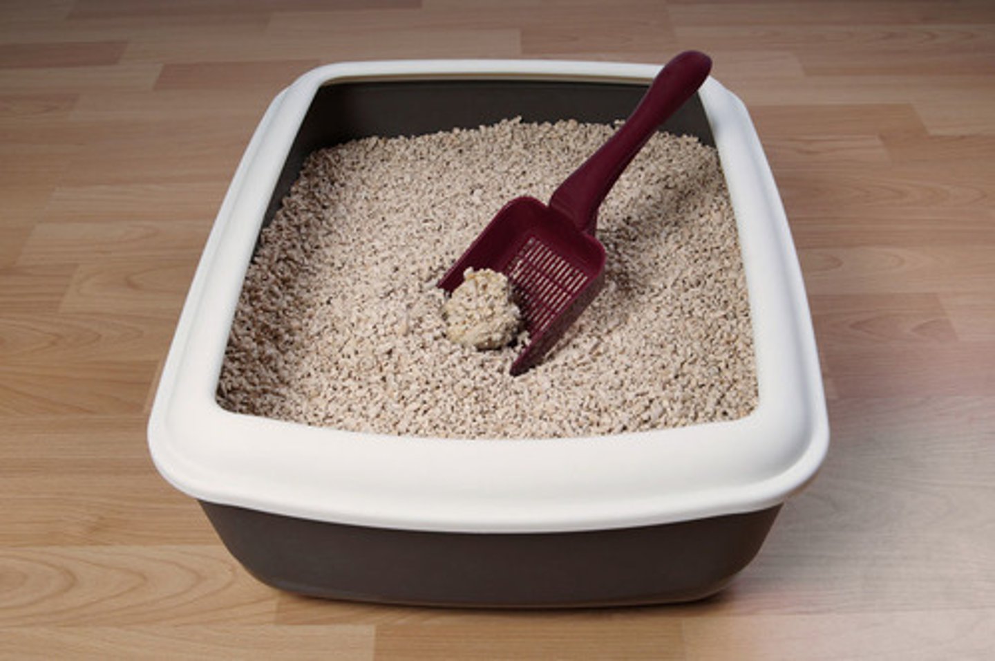 <p>to change the cat litter</p>