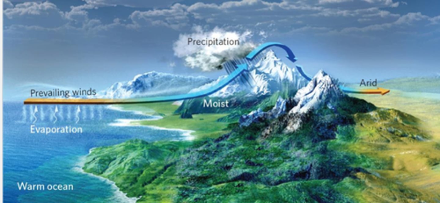 <p>A region with dry conditions found on the leeward side of a mountain range.</p>