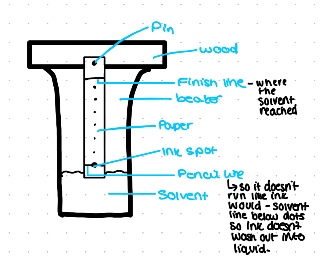 <ul><li><p>This is the solvent for the biological molecules</p></li><li><p>Water can be used to polar molecules</p></li><li><p>Ethanol for non polar molecules</p></li><li><p>Mobile phase flows through and across the stationary phase carrying the biological molecules with it</p></li></ul>