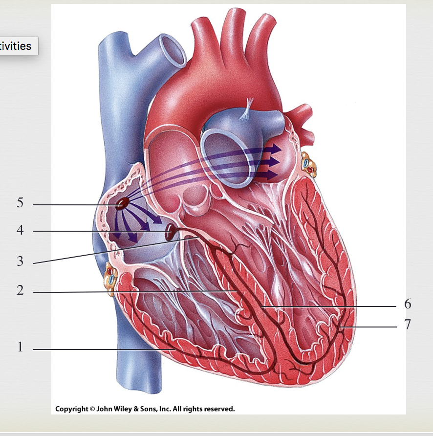 <p>3</p>