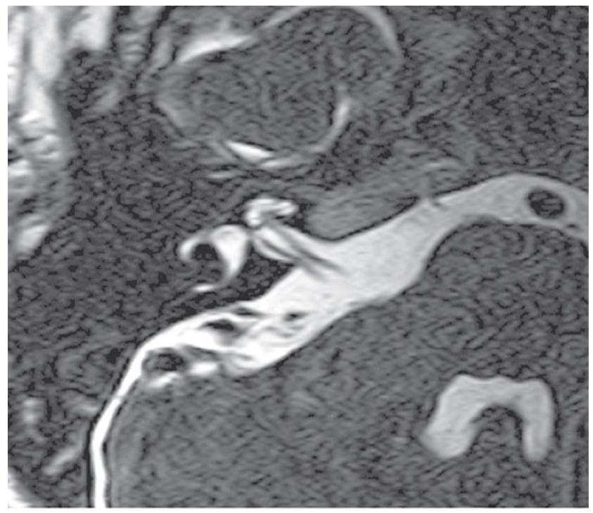 <p>What does this image show?</p>
