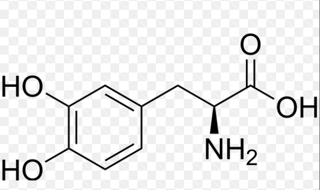 <p>what molecule is this?</p>