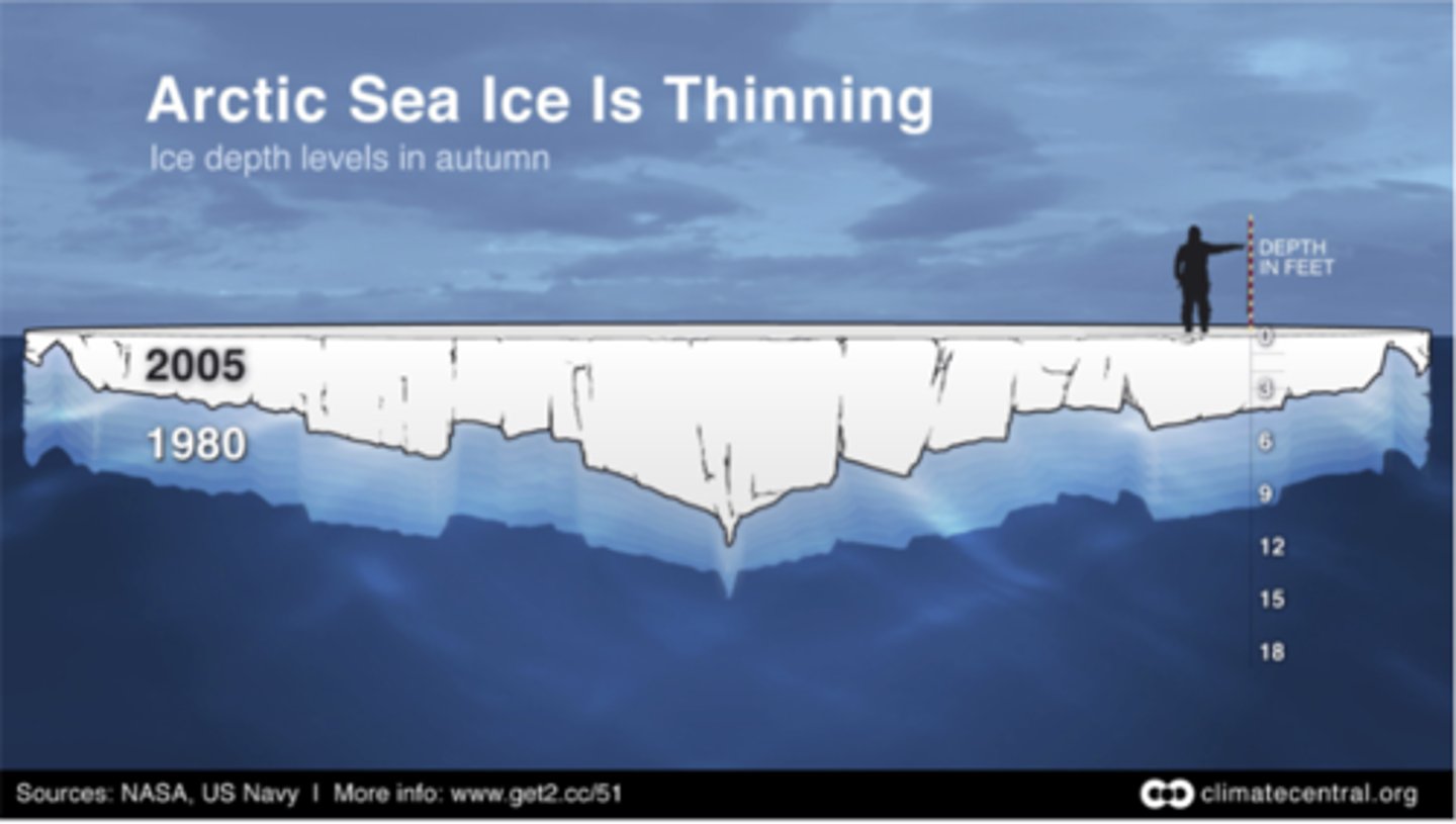 <p>Became substantially thinner between 1980 and 2005 due to the replacement of older, thicker multiyear ice with younger, thinner seasonal ice, a process that accelerated in the mid-1990s and early 2000s and was linked to preconditioning by warmer air temperatures and feedback loops from changing albedo</p>