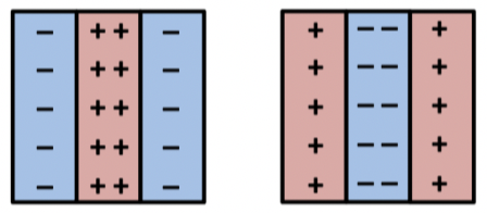<p>As with the concentric receptive fields, you can have simple cell receptive fields where the middle is facilitatory or inhibitory</p><ul><li><p><span>Bar detectors</span></p></li></ul>