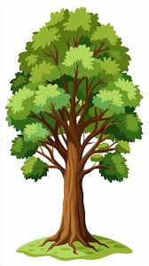 <p>یک درخت </p>