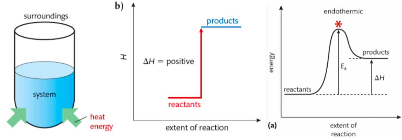 <ul><li><p>net absorption of energy <span style="color: yellow"><strong>from surroundings</strong></span> </p><ul><li><p>(<em>energy absorbed to break bonds is GREATER than energy released when products form)</em></p></li></ul></li><li><p><span style="color: blue"><strong>△H</strong></span> is positive</p></li><li><p>temperature of surroundings <span style="color: red"><strong>decreases</strong></span></p></li></ul><p></p>