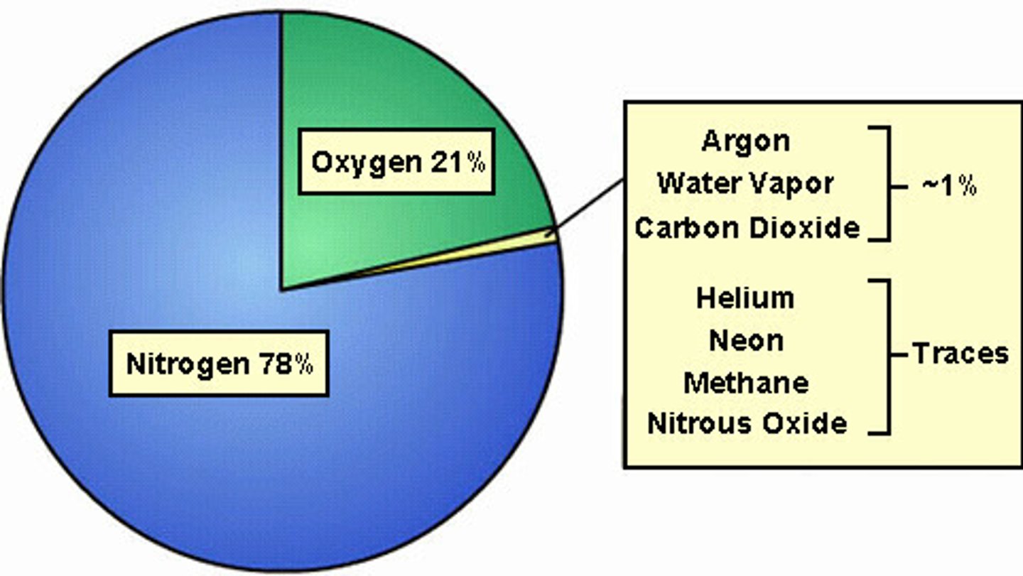 <p>-nitrogen (78%)</p><p>-oxygen (21%)</p><p>-water vapor (0-4%)</p><p>-carbon dioxide (&lt;&lt;1%)</p><p>-methane (&lt;&lt;&lt;1%)</p><p>-nitrous oxide (&lt;&lt;&lt;1%)</p><p>-ozone (&lt;&lt;&lt;1%)</p>