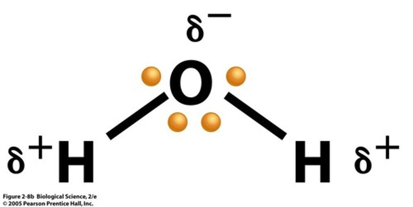 <p>Formed when electrons are shared unequally between two different atoms.</p>