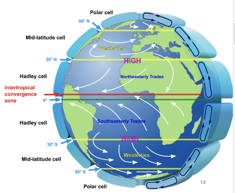 <ul><li><p>Coriolis force disturbs the equator to polar air flow</p></li><li><p>Generates a number of discrete cells</p></li><li><p>Hadley cell</p><ul><li><p>0-30 degrees latitude</p></li></ul></li><li><p>Ferrel/mid-latitude cell</p><ul><li><p>30-60 degrees latitude</p></li></ul></li><li><p>Polar cell</p><ul><li><p>60-90 degrees latitude</p></li></ul></li></ul><p></p>