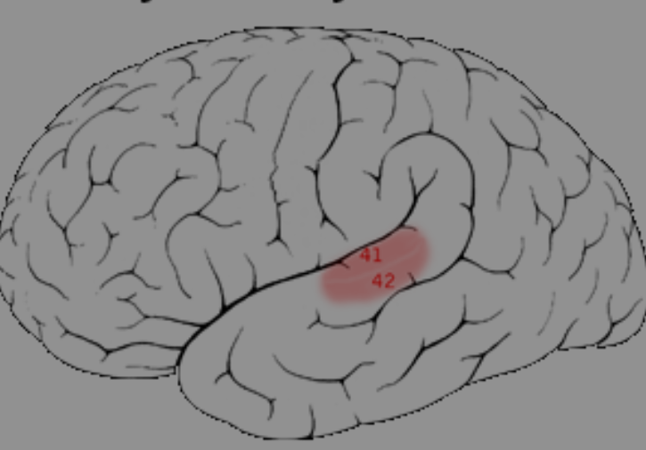 <p>What is this </p>