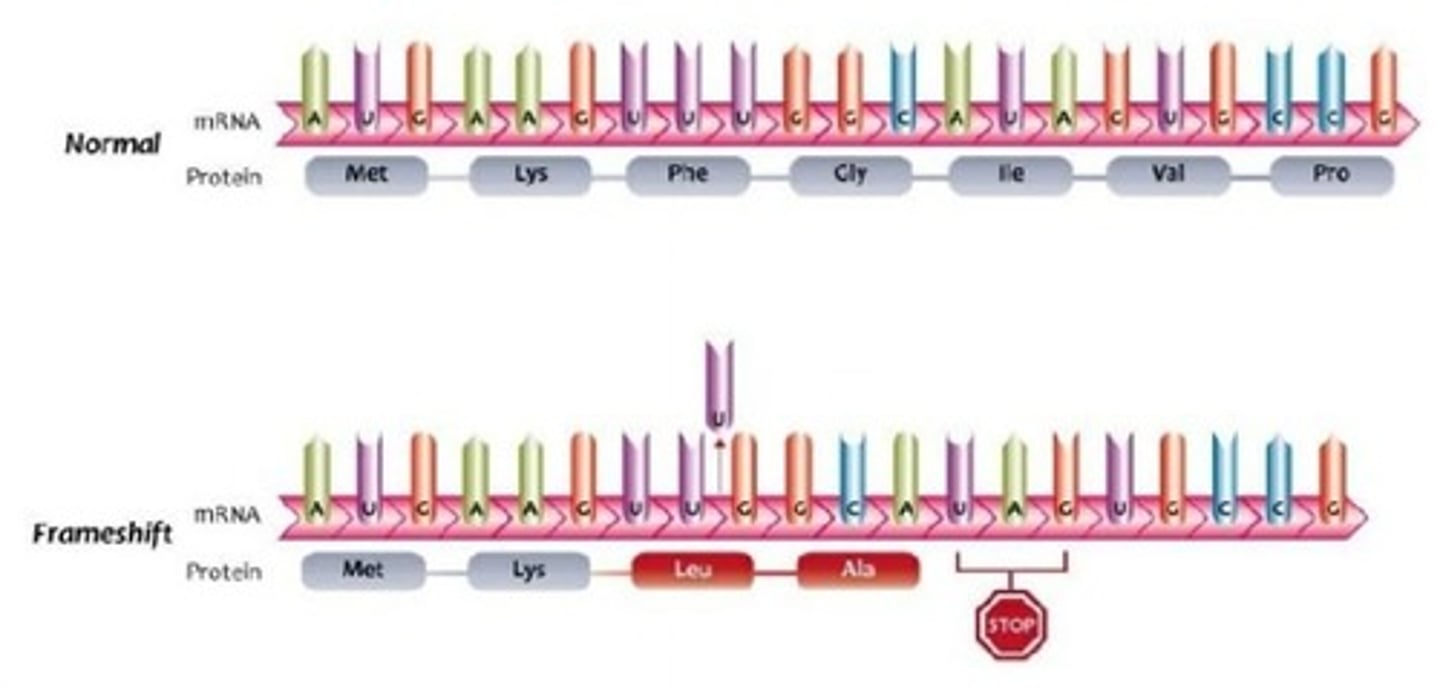 <p>An insertion or deletion of bases (not in multiples of 3) that shifts the reading frame of the mRNA.</p>
