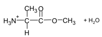 <p>Esterification</p>
