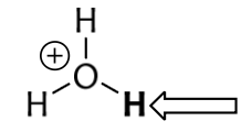 <p>Hydronium ion</p>