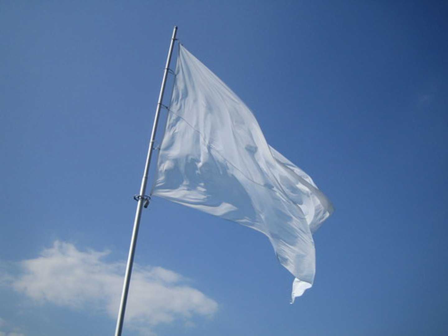 <p>admit (to a wrongdoing); acknowledge defeat ; -- one's point, -- one's defeat, -- to another</p>