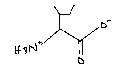 <p>Which amino acid is this?</p>