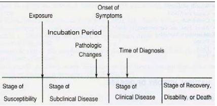 <p>stage of susceptibility</p><p>exposure</p><p>subclinical disease stage</p><p>pathologic changes is before the onset of symptoms, there if you look hard enough for it</p><p>onset of symptoms</p><p>clinical disease stage</p>