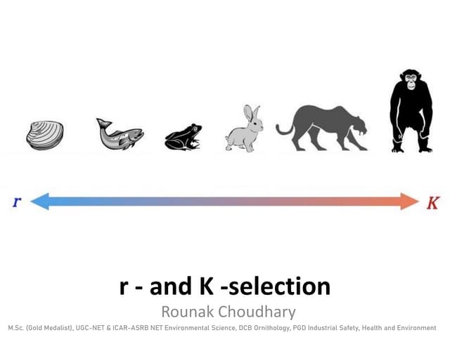 <p>k-selected species (Humans)</p>
