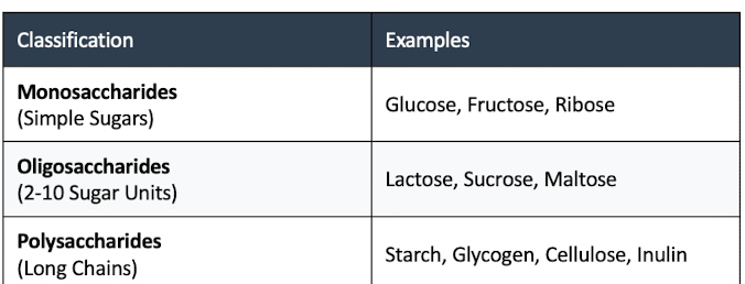 <ul><li><p>typically consist of a carbon backbone with hydroxyl groups attached and a carbonyl group (aldehyde or ketone)</p></li><li><p>classified into simple sugars (monosaccharides) and complex carbohydrates (polysaccharides)</p></li></ul><p></p>