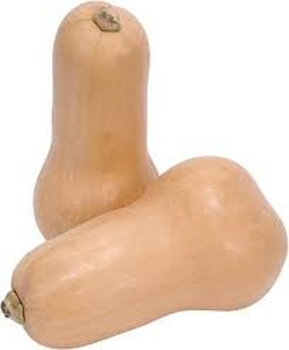 <p>Plants with both male and female reproductive organs on the SAME plant (ex. squash)</p>