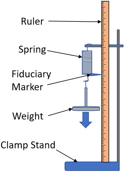 <p>investigate the relationship between the weight hung from the spring and the extension</p>