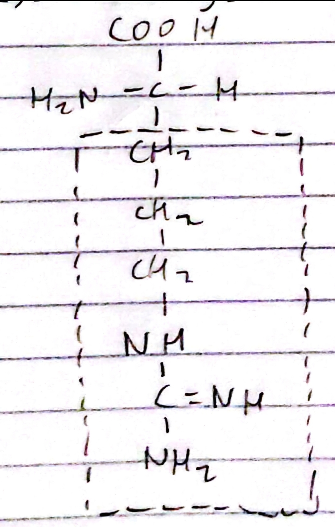 knowt flashcard image