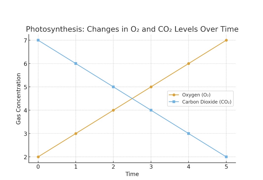 <p>Which one is the O2?</p>