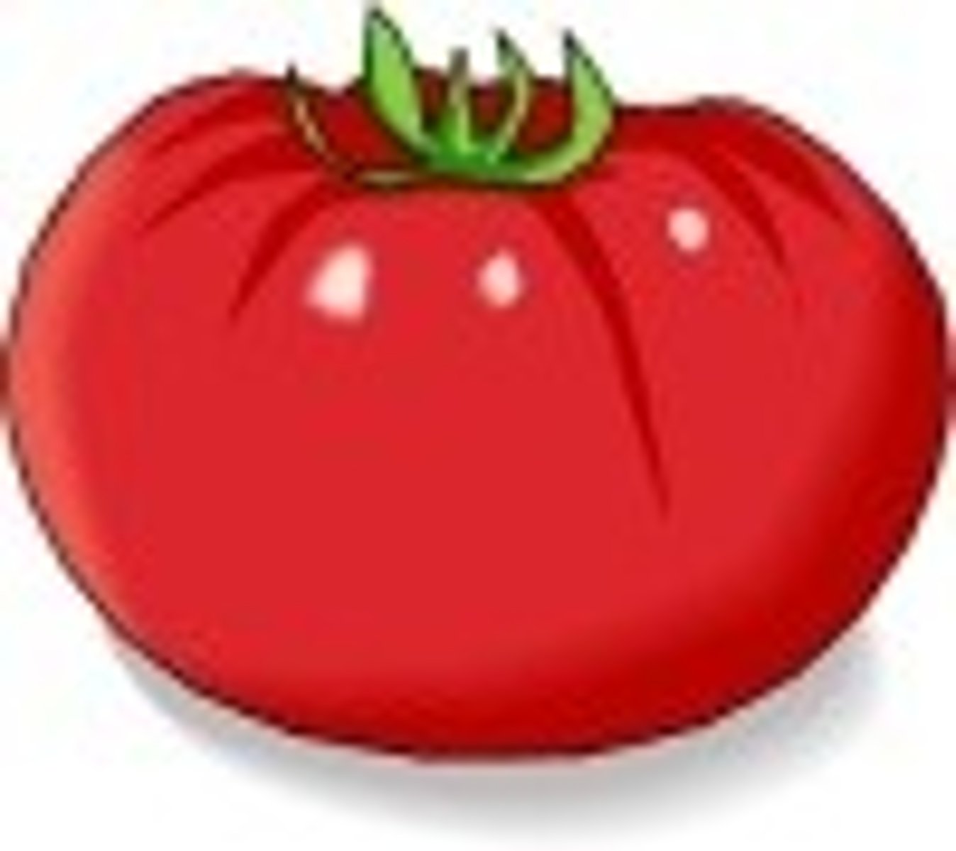 <p>tomato</p>