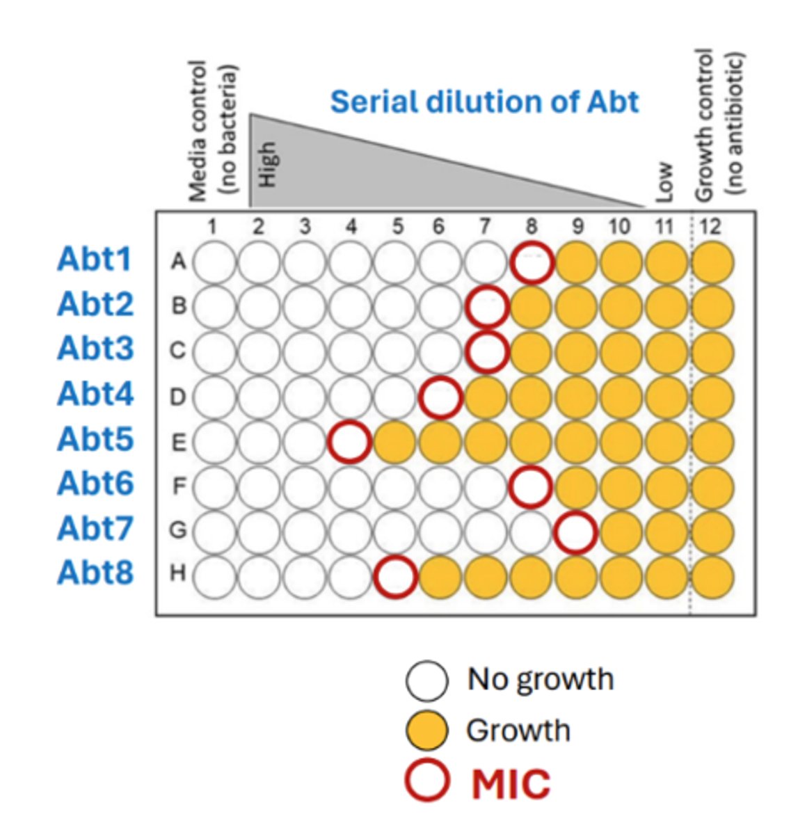 <p>like macrodilution, but in a smaller volume of broth on smaller trays</p>